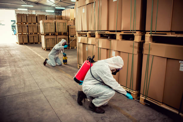  Manhattan, MT Pest Control Pros