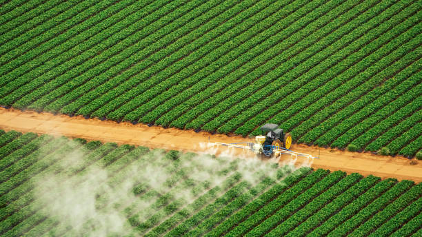 Best Ant Control Services  in Manhattan, MT