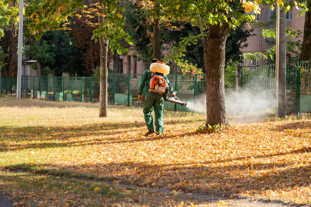 Reliable Manhattan, MT Pest Control Solutions