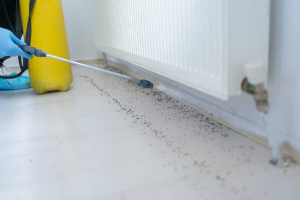 Best Cockroach Control Services  in Manhattan, MT