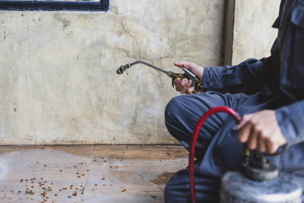 Best Mosquito Control Services  in Manhattan, MT