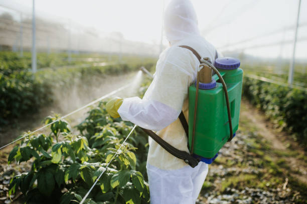 Best Wasp Removal Services  in Manhattan, MT